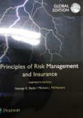 Principles Of Risk Management And Insurance